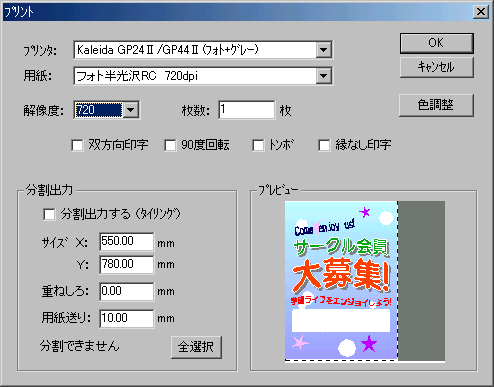 Print Dialog